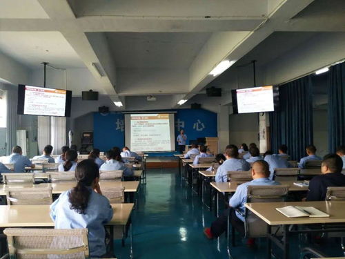 公司開展黨建知識培訓 為黨建工作賦能 業務培訓